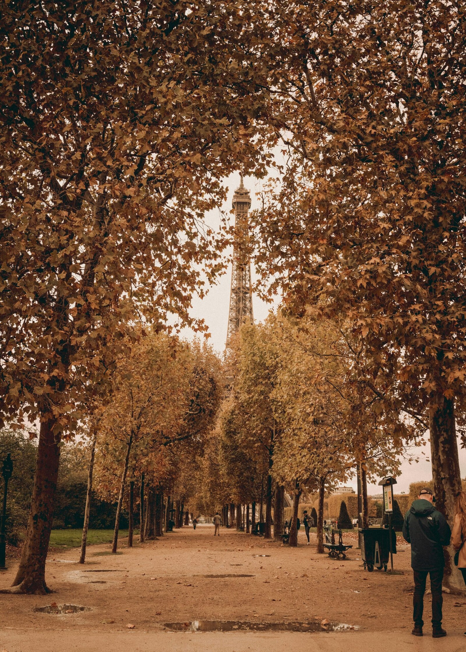 a group of people walking down a tree lined street